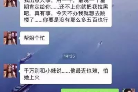 北镇为什么选择专业追讨公司来处理您的债务纠纷？